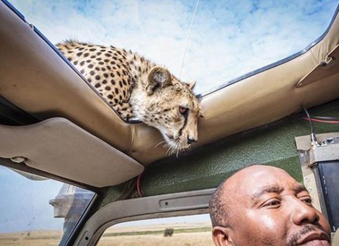 前方危險(xiǎn)！請(qǐng)注意安全！